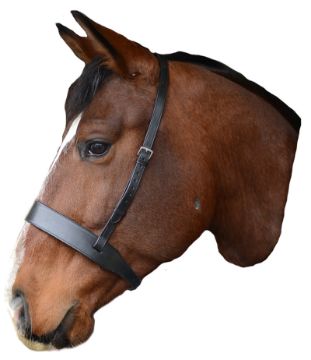 Mackey Flat Noseband