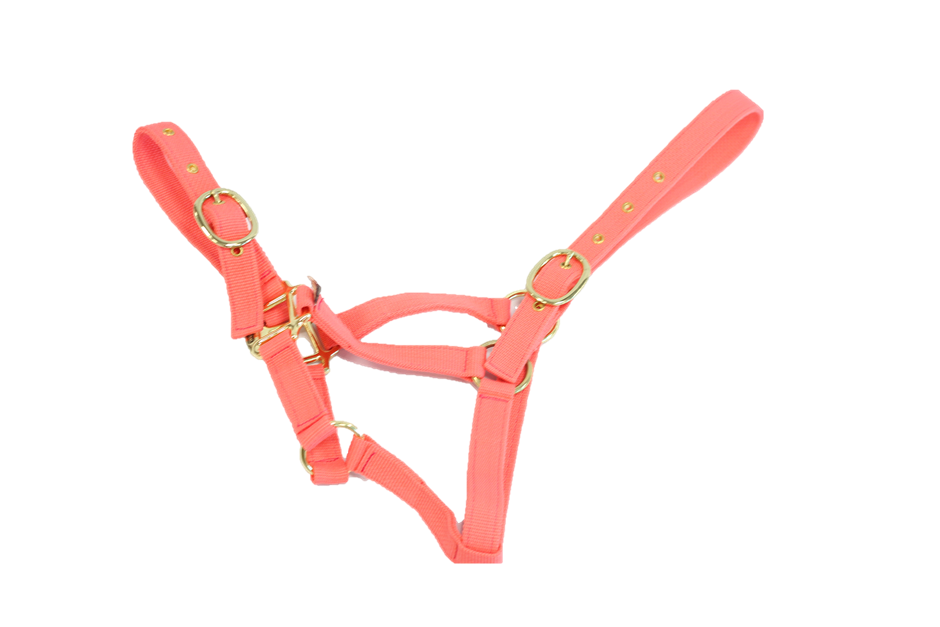 Nylon Headcollar