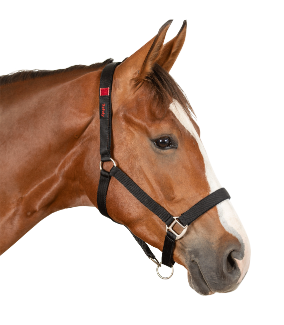 Safety Halter Horse Headcollar