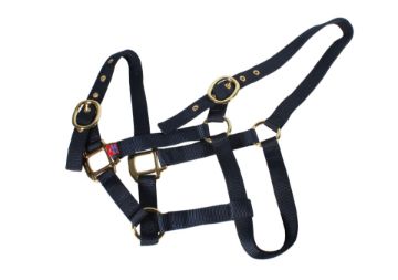 Nylon Headcollar