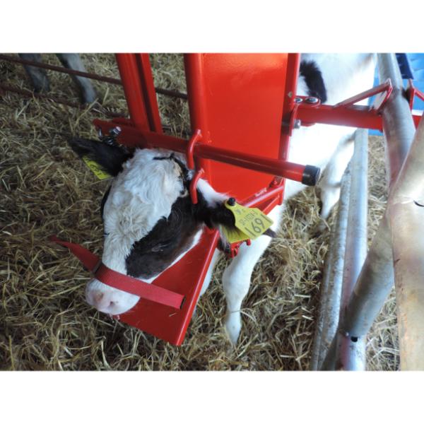 O’Neill Calf & Sheep Staller