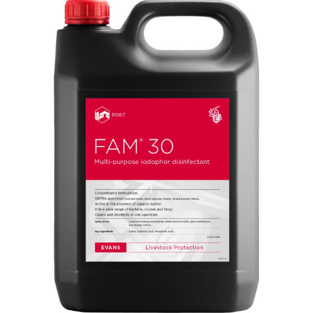 FAM 30 5 LTR