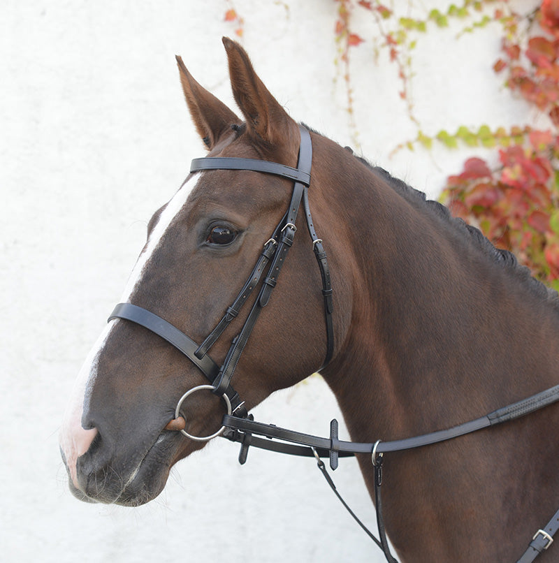 Mackey Classic Hunt Bridle - Brown