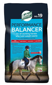 Baileys Performance Balancer 20kg