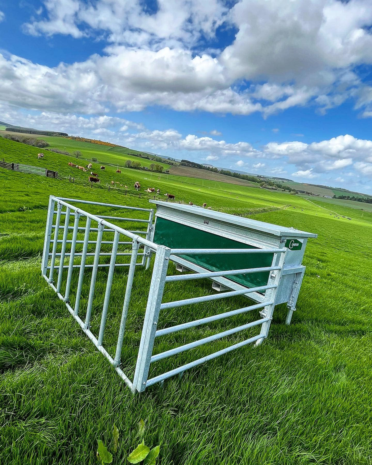 Condon Calf Creep Feeder with Surround