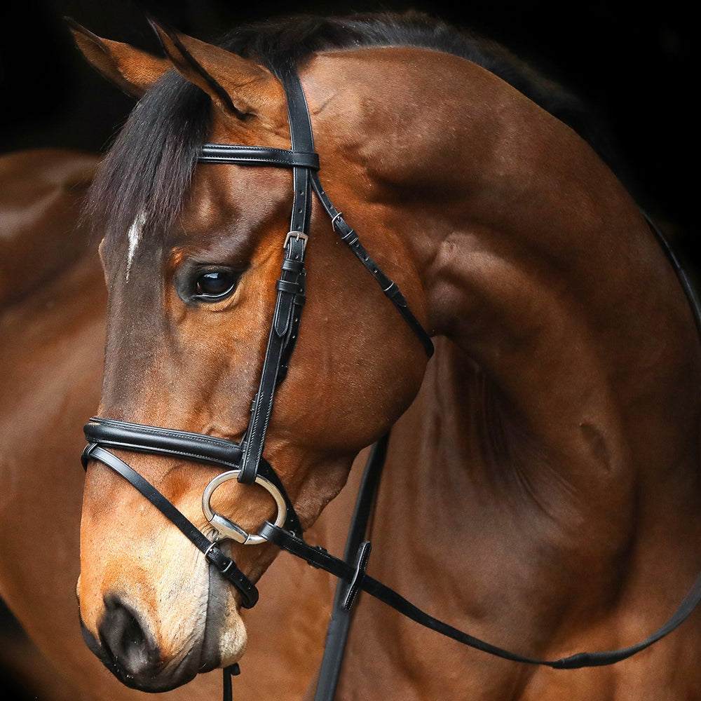 Mackey Classic Flash Bridle - Black