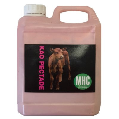 Kao Pectade 2LT