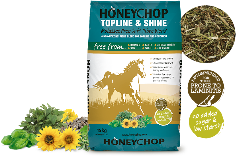 Honey Chop Topline & Shine