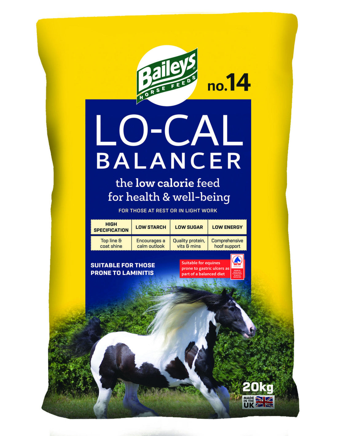 LOCAL BALANCER BAILEY