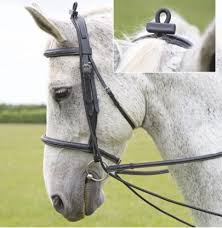 Shires Elastic Training Reins