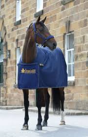 Bucas Prize Cooler Rug