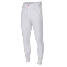 Shires Aubrion Walton Breeches – Gents