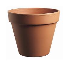Lemonfield Terracotta Pot