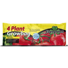 Evergreen 4 Plant Grow Bag