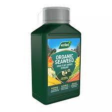 Westland Seaweed Specialist Liquid Concentrate 1L