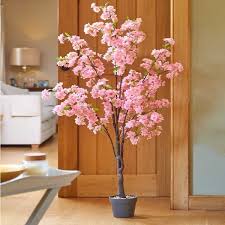 Smart Garden Pink Cherry Tree - Multiple Sizes
