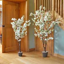 Smart Garden White Cherry Tree - Multiple Sizes
