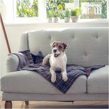 Plaid Comforter