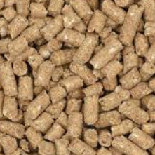 Corby Rock Prime Beef Pellets 16% 25KG