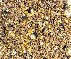 Mixed Corn 20KG
