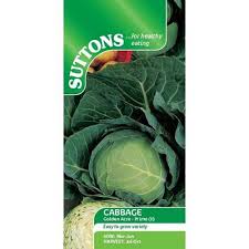 Suttons Seeds - Cabbage - Golden Acre