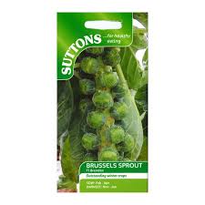 Brussels Sprout Seeds F1 Brenden (Suttons)