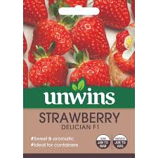 Unwins Seed Packet Strawberry Delician