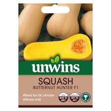 Squash Seeds – Butternut Hunter F1 (Unwins)