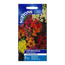Antirrhinum Illumination Mix (Sutton)