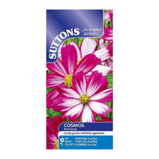 Cosmos Seeds Red Stripe (Suttons)