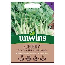 Unwins Celery Golden Self Blanching