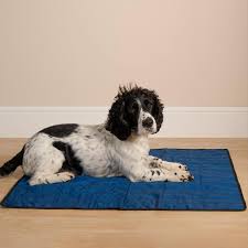 Zoon Dog Cooling Range