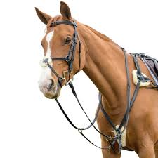 Shires Avignon 5 Point Breastplate