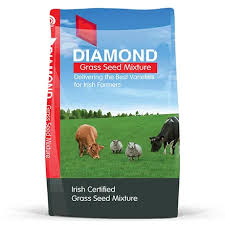 Diamond Horse Paddock Mix