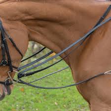Shires Avignon Leather Draw Reins