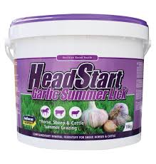 SWEETLICK HEADSTART GARLIC SUMMER LICK