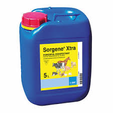 SORGENE XTRA
