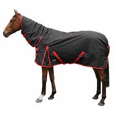 Breeze Up Monsoon Waterproof
