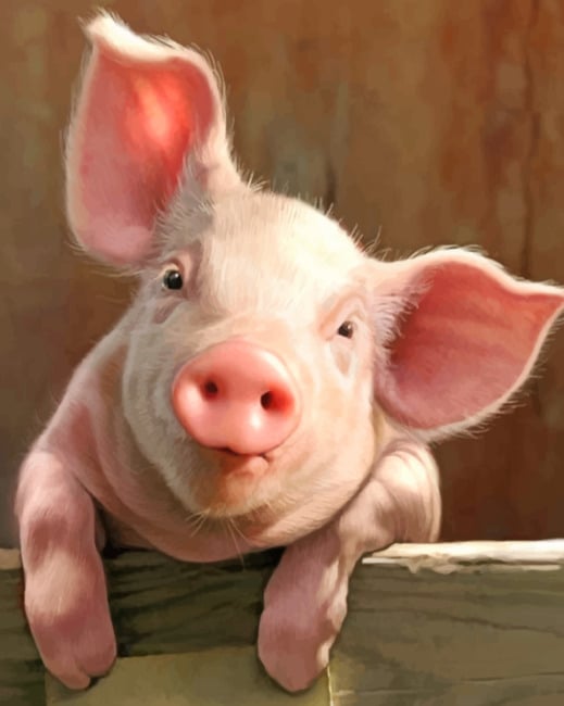 ALLEN & PAIGE POT BELLIED PIG PENCIL 25KG