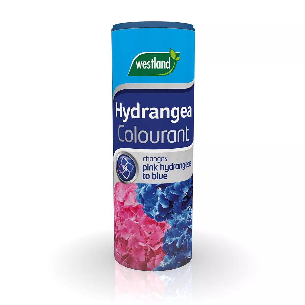 HYDRANGEA COLOURANT 500G