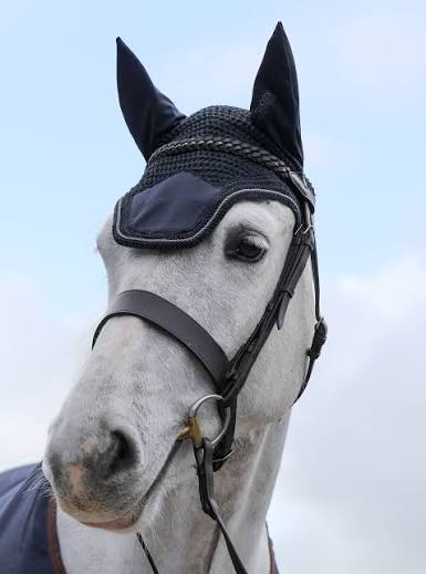 Bucas Show-Line Fly Bonnet - Navy/Grey