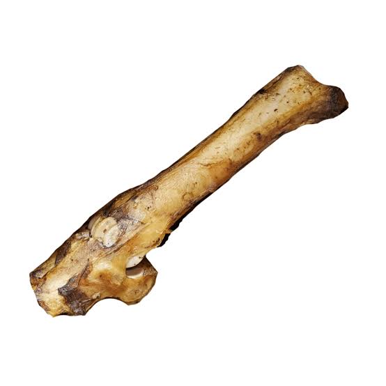 Atlas & Tail Beef Bone