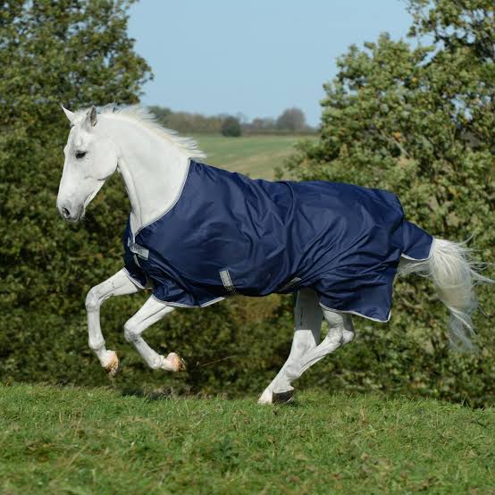 Bucas Freedom Turnout Light Rug