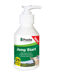 PROVITA JUMP START 100ML 25 FEED