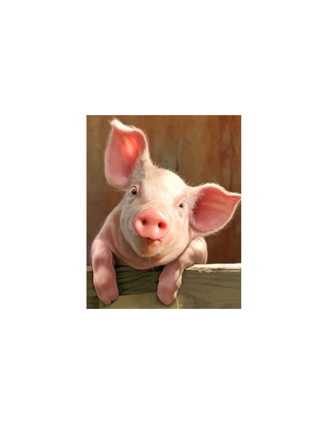 18% PIG FINISHER PELLETS 25KG