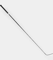 Dressage Whip