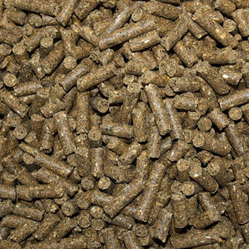 KFA Superlac 19% Ewe Nut Bulk