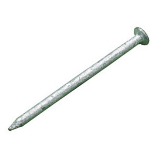 Slate Clout Nails 65mm 1kg Galvanised