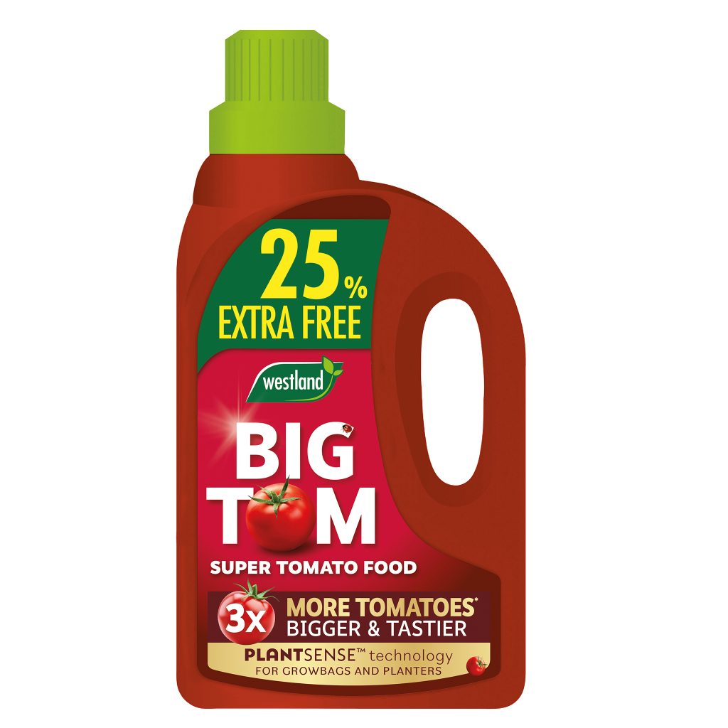 BIG TOM TOMATO FEED 1LTR+25% FREE