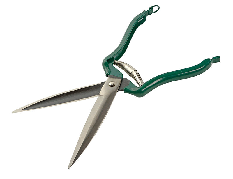 Dressing Shear